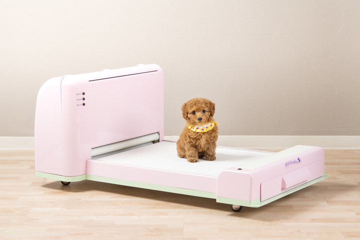 株式会社　ジャパンファーストステップのプレスリリース画像2