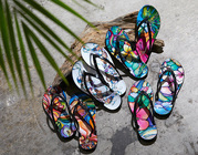 ファイブクリエイツリミテッド株式会社のプレスリリース