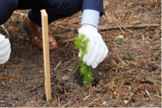 東芝テック株式会社　（PR代行：株式会社アール・アイ・シー）のプレスリリース画像3