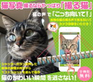 team-ariesのプレスリリース画像1