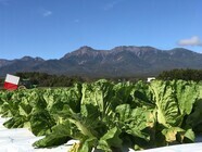 株式会社どうとんぼり神座のプレスリリース画像3