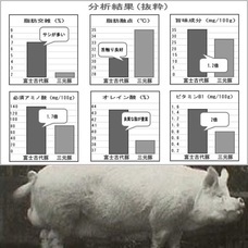 株式会社ローズクリエイトのプレスリリース3