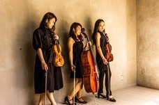 株式会社ローズクリエイトのプレスリリース画像4