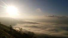 株式会社ローズクリエイトのプレスリリース画像4