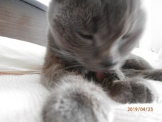 株式会社ローズクリエイトのプレスリリース画像2