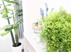 株式会社ローズクリエイトのプレスリリース画像3