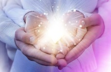 株式会社ローズクリエイトのプレスリリース画像3