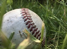 株式会社ローズクリエイトのプレスリリース画像3