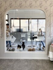 株式会社ローズクリエイトのプレスリリース画像2