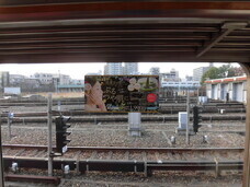 株式会社ローズクリエイトのプレスリリース画像2