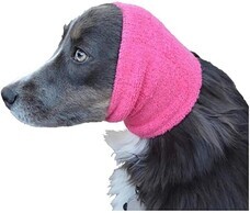 株式会社ローズクリエイトのプレスリリース画像1