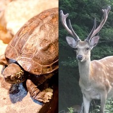 株式会社ローズクリエイトのプレスリリース画像2