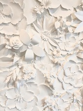 株式会社ローズクリエイトのプレスリリース画像4