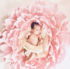 株式会社ローズクリエイトのプレスリリース画像3