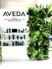 株式会社ローズクリエイトのプレスリリース画像6