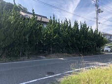 株式会社ローズクリエイトのプレスリリース画像2