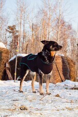 株式会社ローズクリエイトのプレスリリース画像2