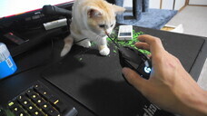 株式会社ローズクリエイトのプレスリリース画像3