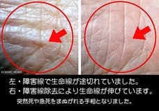 株式会社ローズクリエイトのプレスリリース画像3