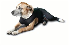 株式会社ローズクリエイトのプレスリリース画像2