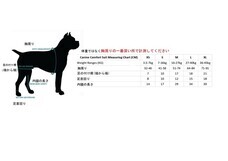 株式会社ローズクリエイトのプレスリリース画像3