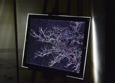 株式会社ローズクリエイトのプレスリリース画像3