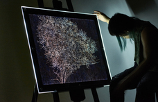 株式会社ローズクリエイトのプレスリリース画像1