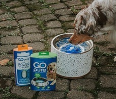 株式会社ローズクリエイトのプレスリリース画像1