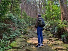 株式会社ローズクリエイトのプレスリリース画像2