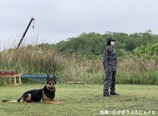 株式会社ローズクリエイトのプレスリリース画像3