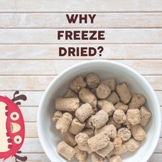 株式会社ローズクリエイトのプレスリリース画像3