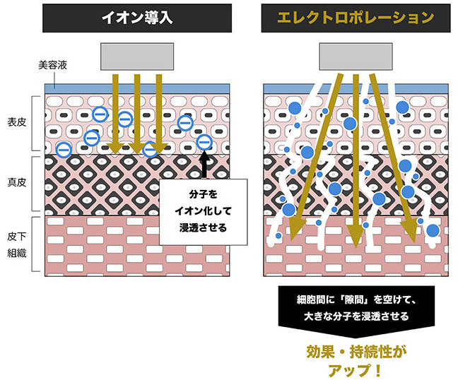 ヒト臍帯血幹細胞を使用した発毛サロン Hairtive ヘアティブ 京都烏丸店 オープンのお知らせ 株式会社ローズクリエイトのプレスリリース