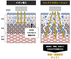 株式会社ローズクリエイトのプレスリリース画像2