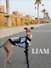 株式会社ローズクリエイトのプレスリリース画像3