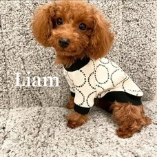 株式会社ローズクリエイトのプレスリリース画像2