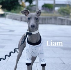 株式会社ローズクリエイトのプレスリリース画像1