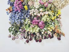 株式会社ローズクリエイトのプレスリリース画像1