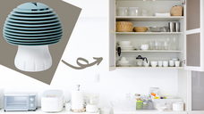 株式会社ローズクリエイトのプレスリリース画像2