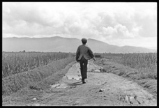 株式会社ローズクリエイトのプレスリリース画像4