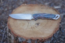 株式会社ローズクリエイトのプレスリリース画像1