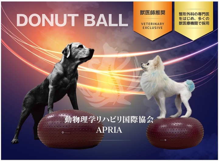 動物理学リハビリ国際協会オリジナル 犬用バランスボール ドーナッツボール 発売 株式会社ローズクリエイトのプレスリリース 動物理学リハビリ国際協会オリジナル 犬用バランスボール ドーナッツボール 発売 株式会社ローズクリエイトのプレスリリース