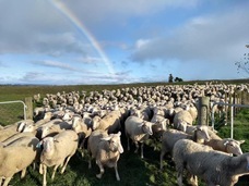 株式会社ローズクリエイトのプレスリリース画像4