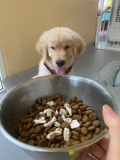 株式会社ローズクリエイトのプレスリリース画像1