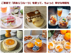 株式会社ローズクリエイトのプレスリリース画像2