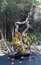 株式会社ローズクリエイトのプレスリリース画像1