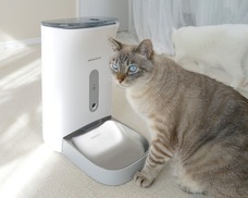 株式会社ローズクリエイトのプレスリリース画像1