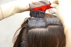 株式会社ローズクリエイトのプレスリリース画像2