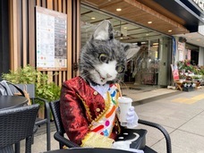 株式会社ローズクリエイトのプレスリリース画像2