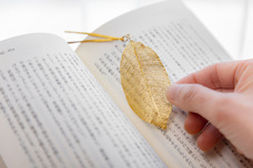 株式会社ローズクリエイトのプレスリリース画像1