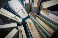 株式会社ローズクリエイトのプレスリリース画像3